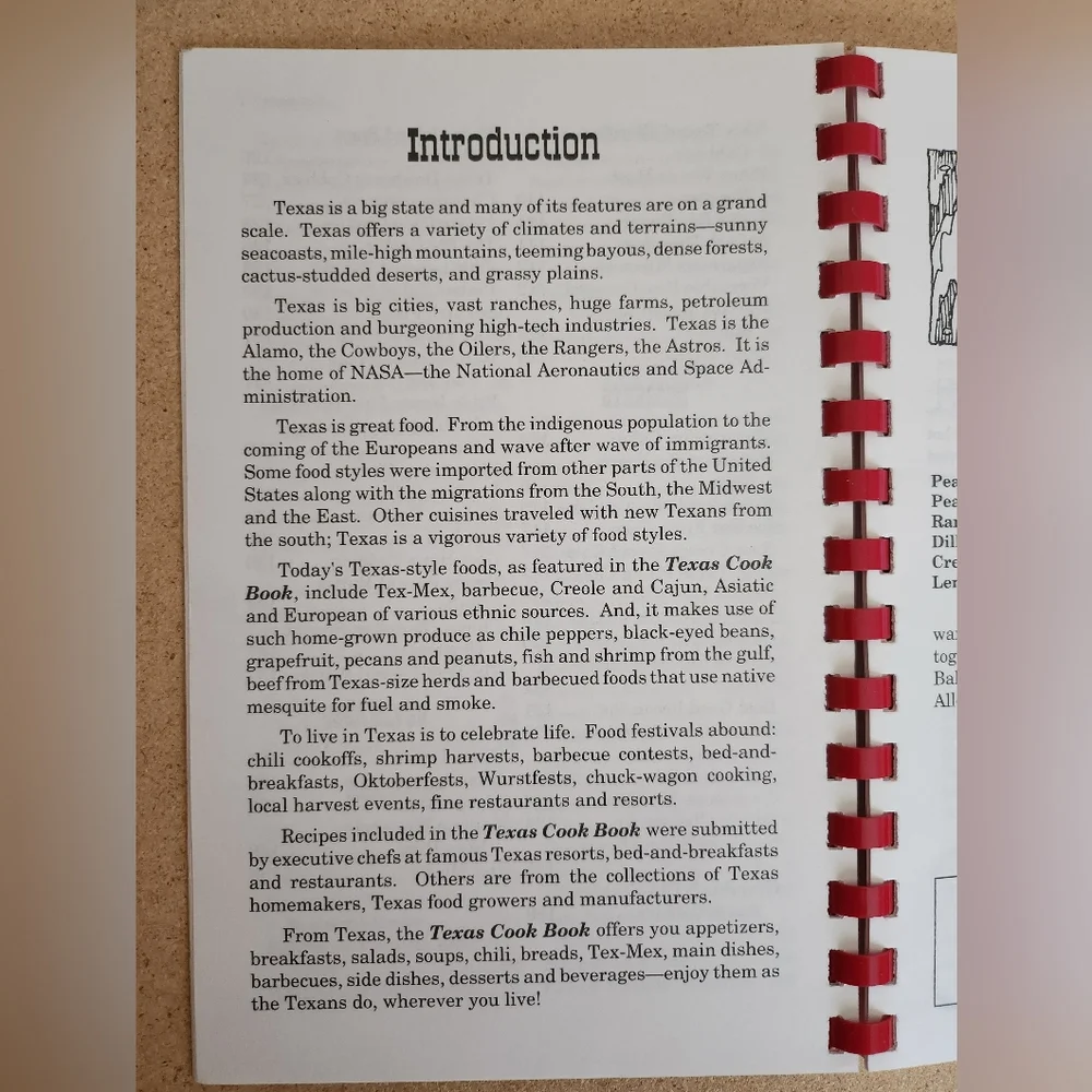 TEXAS Cookbook VTG 1996